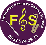 F&S Enstrüman Bakım ve Onarım Merkezi